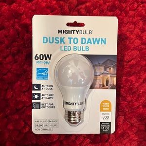 Mighty Bulb LED Bulb